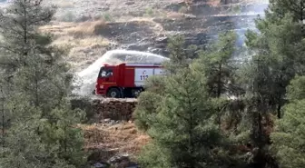 Şanlıurfa'da Ormanlık Alanlara Girişler Yasaklandı