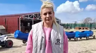 Hastalık taşıdığı iddia edilen köpekleri Ankara'ya getiren dernek başkanı tahliye edildi