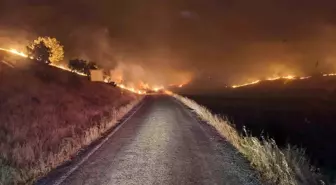 Diyarbakır ve Mardin'deki Yangında Koyunları Kurtarma Çabası