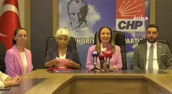 CHP Kadın Kolları Genel Başkanı Aylin Nazlıaka, kadın cinayetlerini ve hak ihlallerini eleştirdi