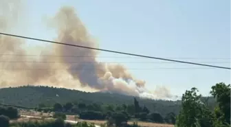 Orman Genel Müdürlüğü, Biga'daki Orman Yangınına Müdahale Ediyor