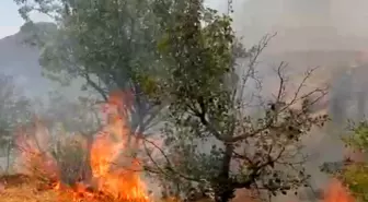 Mardin'in Yeşilli ilçesinde çıkan yangın kontrol altına alındı