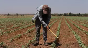 Şanlıurfa'da Sıcak Hava Nedeniyle Çalışanlar Zor Günler Geçiriyor