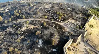 Çanakkale'de çıkan orman yangınında Assos Ören Yeri ve Athena Tapınağı dron ile görüntülendi