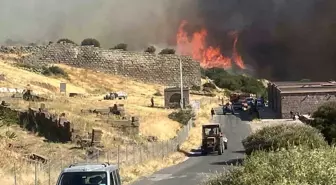 Çanakkale'de çıkan yangın Assos Antik Kenti'ne sıçradı