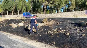 Çanakkale'de çıkan yangın Assos Antik Kenti'ne sıçradı