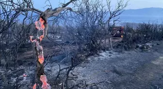 Çanakkale'de çıkan orman yangını kontrol altına alındı