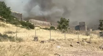 Çanakkale'de orman yangını! Alevler dünyaca ünlü Assos Antik Kenti'ne sıçradı