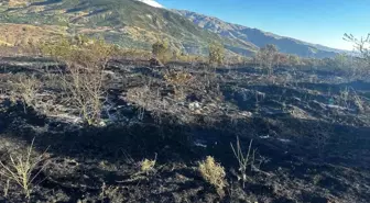 Elazığ'da çıkan yangın kayısı bahçelerine sıçradı