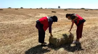 Emet ilçesinde yem bitkisi desteklemesi başvuruları kontrol edildi