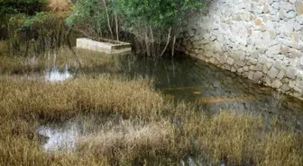 Gümüşhane'de baraj suları nedeniyle mezarlıklar taşınacak