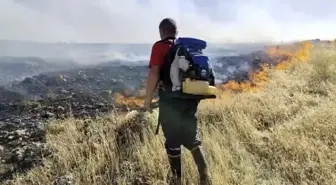 Mardin'de çıkan anız yangınında yüzlerce dönümlük alan kül oldu