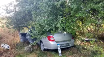 Samsun'da meyve bahçesine dalan otomobilin çarptığı kazada 3 kişi yaralandı