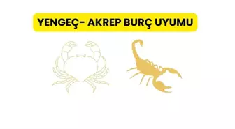 Yengeç- Akrep Burç uyumu | Yengeç- Akrep burç uyumu nedir? İlişkide akrep ve yengeç burcu uyumlu mu?