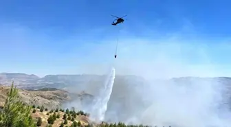 Adıyaman'da Orman Yangınına Havadan Müdahale