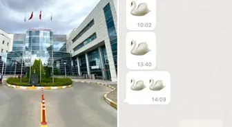 Kuğu emojili ilaç oyunu! Kazancın yarısına ortak olan doktorlar hakkında soruşturma