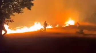 Malatya'da Son 14 Saatte 89 Yangın Kontrol Altına Alındı