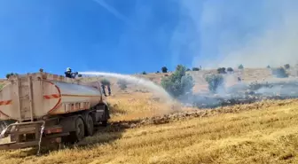 Mardin'de çıkan yangınlar kontrol altına alındı