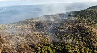 Çanakkale'deki yangında Assos Ören Yeri zarar gördü