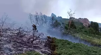 Tunceli'de ağaçlık alanda çıkan yangın söndürüldü