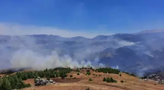 Adıyaman'ın Gerger ilçesindeki örtü yangını söndürüldü