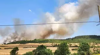 Balıkesir'de Makilik Alanda Çıkan Yangın Ormana Sıçradı