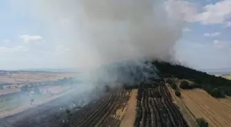 Balıkesir'de Orman Yangını Söndürme Çalışmaları Başlatıldı