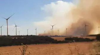 Çanakkale'de Tarım Arazisinde Yangın Çıktı