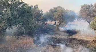 Çanakkale'de Orman ve Çimento Fabrikasına Sıçrayan Yangın