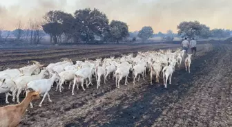 Hayvanlarının Canını Kurtardı; Bazı Evler Tahliye Edildi