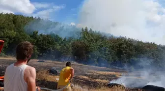 Keşan'da Balya Makinesi Yangını Ormana Sıçradı