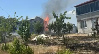 Mersin'de çıkan yangın ormanlık alana sıçramadan söndürüldü