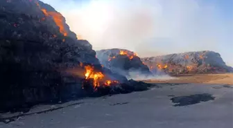 Şanlıurfa'da 65 Bin Ton Saman Balyası Yanarak Kül Oldu