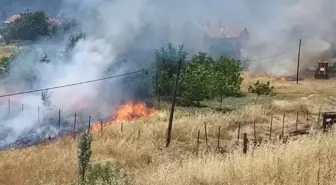 Akseki'de Meyve Ağaçları ve Alan Yangında Zarar Gördü