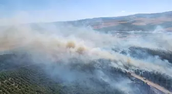 Balıkesir Susurluk'ta Orman Yangını