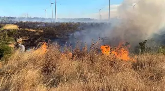 Çanakkale'de Orman Yangını: Ekipler Havadan ve Karadan Müdahale Ediyor