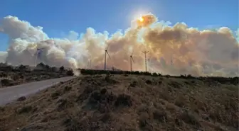 Çanakkale'de tarım arazisinde yangın! 2 köy tahliye ediliyor