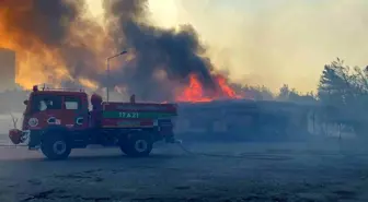 Çanakkale'de çıkan yangın çimento fabrikasına sıçradı