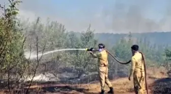 Edirne'de çıkan yangın üç köyü etkisi altına aldı