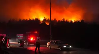 İzmir'in 5 ilçesinde orman yangını! Bakan Yumaklı bölgede