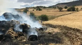 Tokat'ın Zile ilçesinde çıkan yangında 400 saman balyası yandı