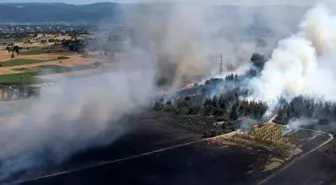 Bursa'da çıkan yangın ormanlık alana sıçradı