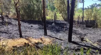 Sivas Ulaş'ta çıkan yangın itfaiye tarafından söndürüldü