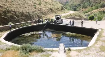 Bitlis Belediyesi Altunkalbur Mesire Alanı'nda Temizlik Çalışmalarını Sürdürüyor