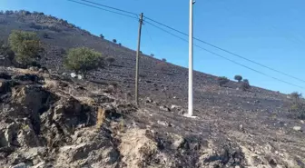 Aydın'ın Karpuzlu ilçesinde çıkan yangın kontrol altına alındı