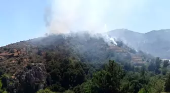 Mersin Anamur'da Orman Yangını: Havadan ve Karadan Müdahale Başladı