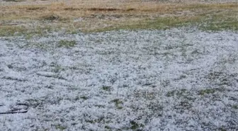 Ağrı'da etkili olan dolu tarım arazilerine zarar verdi