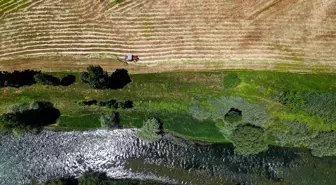 Bayburt'ta Yem Bitkisi Hasadı Devam Ediyor