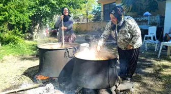 Çemişgezek'te Dut Üretimi ve Pekmez Üretimi