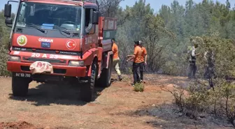 Uşak'ta Orman Yangını Kontrol Altına Alındı